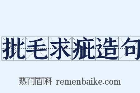 批毛求疵造句是什么意思的图片
